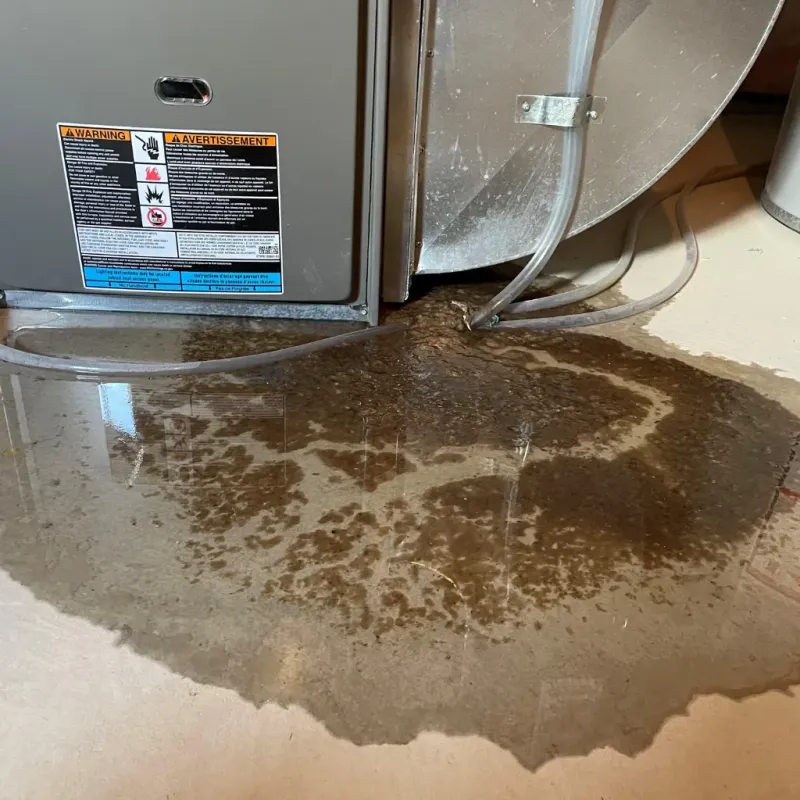 Appliance Leak Cleanup in Meadville, MS